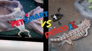 PETSMART vs PETCO  Who has better REPTILE care [upl. by Troyes]