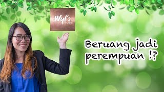 Beruang Jadi Perempuan [upl. by Tebasile102]