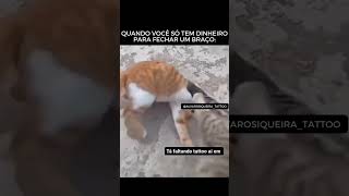 TENTE NÃO RIR Ep247 funnyanimals memes animaisfofos cachorro petsengracados funnydogs pets [upl. by Ellivnarg]