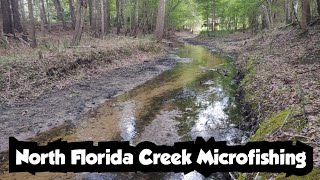 North Florida Creek Microfishing [upl. by Atnim378]