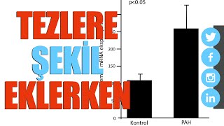 Tez ve Makale yazımlarımda yüksek çözünürlüklü şekillerin kullanılması [upl. by Adnalra]