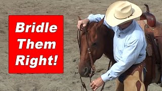 How To Bridle A Horse and Adjust The Bit Correctly  Training A Horse To Be Good To Bridle [upl. by Agan]