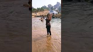 Jemiti phula painee bhanra 🌹🦟 l Thare Aa 🤭youtubeshorts reels viralvideo [upl. by Temirf808]