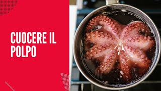 Buono anche surgelato  CUOCERE IL POLPO  cook the octopus [upl. by Ymassej]