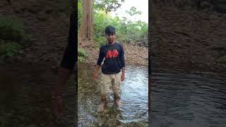 SAFARNAMA😌 shorts youtubeshorts safar arijitsingh [upl. by Dougherty]