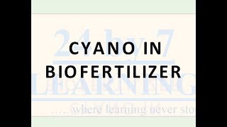 Cyanobacteria in biofertilizer  Microbes in human welfare  Grade 12  Biology  24by7learning [upl. by Nnylak]