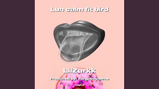 Luh calm fit bird [upl. by Vachill250]