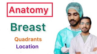 Anatomy Of Breast  Pectoral Region  Location  Quadrant [upl. by Ahen]