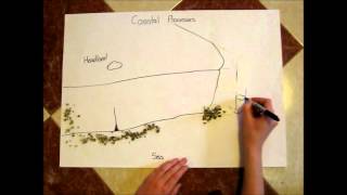 Coastal Processes iGCSE Geography by Gwennyth and Feline [upl. by Llennor]