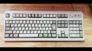 유니콤프 버클링 키보드 모델  m 타이핑  unicomp Buckling keyboard typing model m [upl. by Rachaba]