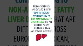 MVP Discoveries NonAlcoholic Fatty Liver Disease Findings [upl. by Rolyak]