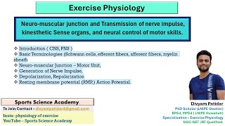 Neuromuscular junction and transmission of nerve impulse  Action potential  UGC NET [upl. by Nelg]