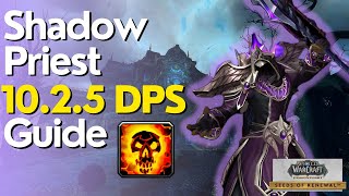 Shadow Priest 1025 Beginner Guide for Raid amp M [upl. by Thornburg]