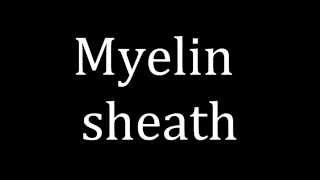 How to pronounce Myelin sheath [upl. by Leinehtan]