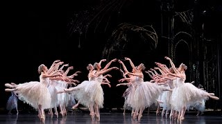 Swan Lake Corps de Ballet The Royal Ballet [upl. by Fihsak]