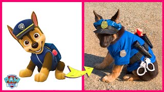 PAW Patrol And Their Biggest Fans PAW Patrol In Real Life And Their Other Favorites  Roxi and Skye [upl. by Anik]