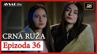 Crna Ruza  Epizoda 36 [upl. by Tomchay]