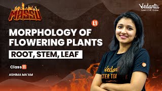 Morphology of flowering plants  L1  Root stem Leaf  Class 11 Biology Ashima Mam  Vedantu [upl. by Hull]