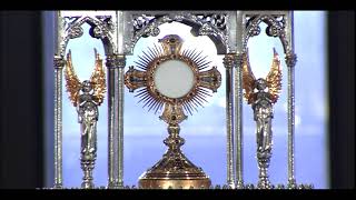 Holy Mass on Saturday July 11 2020  on EWTN [upl. by Wilburn]