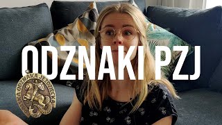 Zmiany w odznakach PZJ  Odznaka jeżdżę konno BOJ SOJ ZOJ [upl. by Annadal]