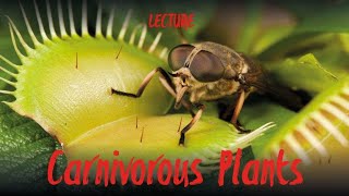 Most Spectacular Carnivorous Plants lecture by Stewart McPherson [upl. by Wawro]