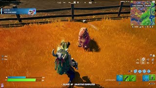 Tame a Boar  Fortnite [upl. by Neliac943]