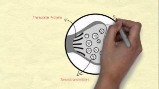 Introduction to Neurochemistry [upl. by Temirf875]