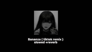 Bananza tiktok remix  slowed amp reverb  don’t be shy girl go bananza shake ya body … [upl. by Elke]