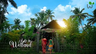 My Home Renovation  Kerala Village house  Village life  Our Traditional Life in Wetland [upl. by Ytsirhk]