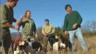 Les meutes de chiens courants Vol2 [upl. by Htir396]