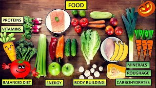 CBSE Science Class 45 Food Proteins carbohydrates fats vitamins nutrients roughage diet [upl. by Alial]