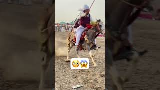 Tent pegging Epi 64 shortvideo championship pakistan viralvideo rider horse india punjabi [upl. by Barthelemy]