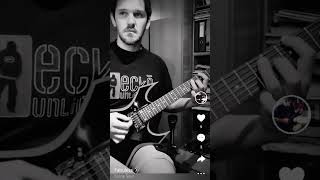 Stone Sour  Fabuless  Guitar Cover [upl. by Areic]