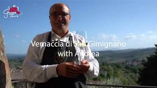 Grape INSIDERS Vernaccia di San Gimignano [upl. by Arathorn]