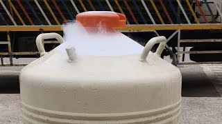 Liquid Nitrogen kya hoti hai liquidnitrogen chemical foodblogger foodandbeverage bollywood [upl. by Weisberg]