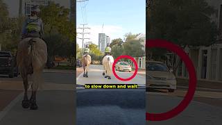 Overtake Police on Horses Safely perth mountedpolice fyp [upl. by Mufinella]