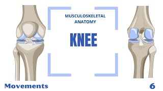 Knee Joint Motions [upl. by Aivatnuahs]