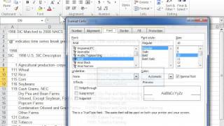 Format Text as Strikethrough  Excel 2010 [upl. by Agler]