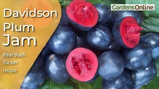 Davidson Plum Jam  how to make it [upl. by Snider221]