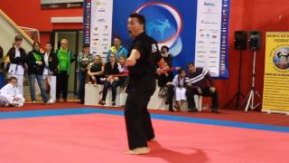 WKF World Championships 2014  Roman Volak weapons [upl. by Utley]