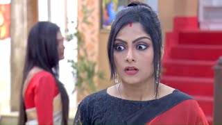 Bikeley Bhorer Phool  ময়না কে সবাই দিদি বলবে ডাকছে  Full Episode  220 [upl. by Htelimay]