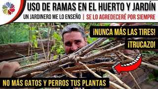 🔥 NUNCA MÁS TIRES las RAMAS SECAS 🌱 UN JARDINERO me ENSEÑO este TRUCO y NUNCA lo OLVIDARÉ [upl. by Payton478]