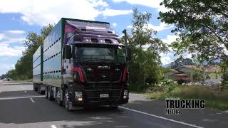 Isuzu CYJ530 8x4  Truck Test  Stockmans Mate [upl. by Barney598]