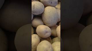 Disa bataka 1kg Rs 60 🥔🥔 [upl. by Naujal921]