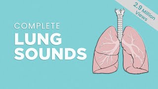 Complete Breath sounds NormalAbnormal Lung Sounds Types amp Conditions [upl. by Lyrred]