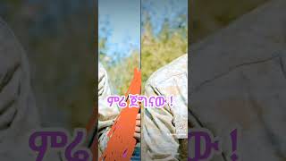 ኧረ ግፍ በለውAmharic Music [upl. by Ausoj222]