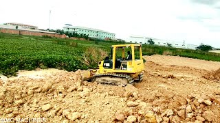 Discover the Incredible 50 Finest Unloading Soil Project by Bulldozer and Best Team Dump Trucks [upl. by Llerref673]