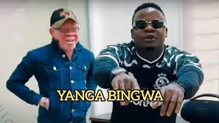 Harmonize  Yanga Bingwa  Bongo Flava Instrumental X Afro Zouk Instrumental [upl. by Boffa]