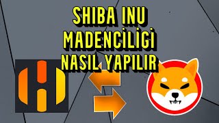 Ekran Kartlarında SHIBA INU Madenciliği Nasıl Yapılır  HIVEOS Rehberi [upl. by Lorie728]