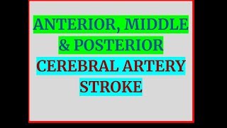 ANTERIOR MIDDLE amp POSTERIOR CEREBRAL ARTERY STROKE [upl. by Nilhsa]